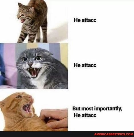 But most importantly,
He attace