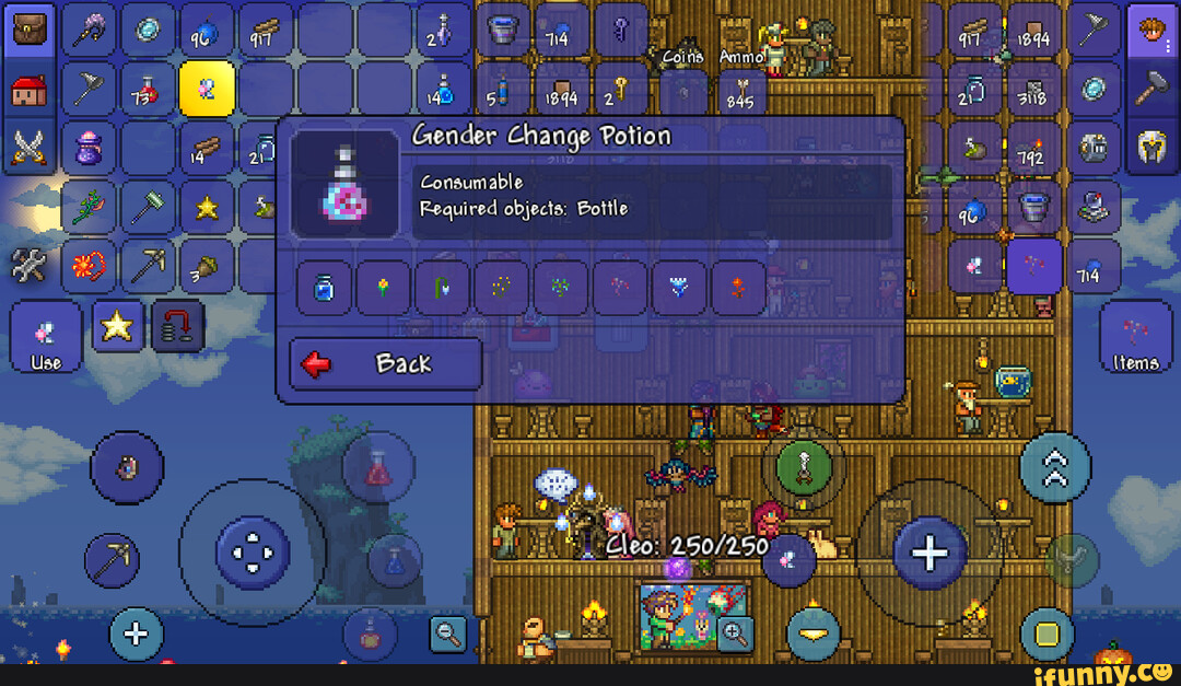 TERRARIA PLS MAKE THIS REAL NOW Gender Change Potion Consumable I