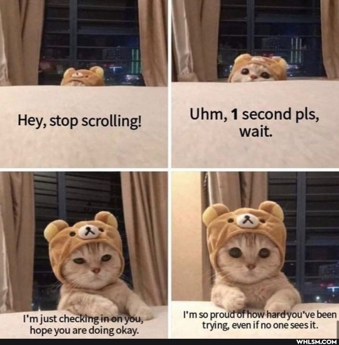 Uhm, 1 second pls,
walt.
Hey, stop scrolling!
just you,
I'm so proud how hard you've one been trying, even if no one sees it.