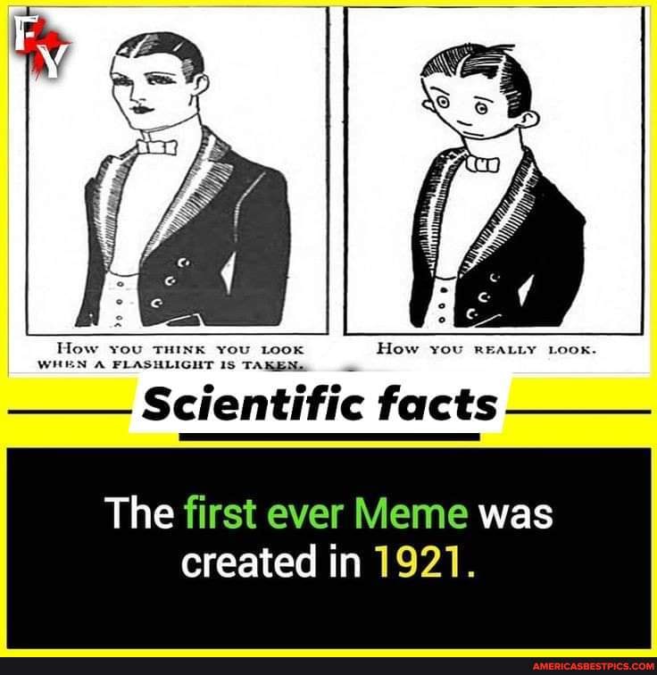 How You LOOK How You REALLY Look. Scientific Facts The First Ever Meme ...