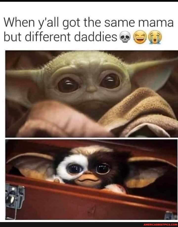 When y'all got the same mama but different daddies es Q@)