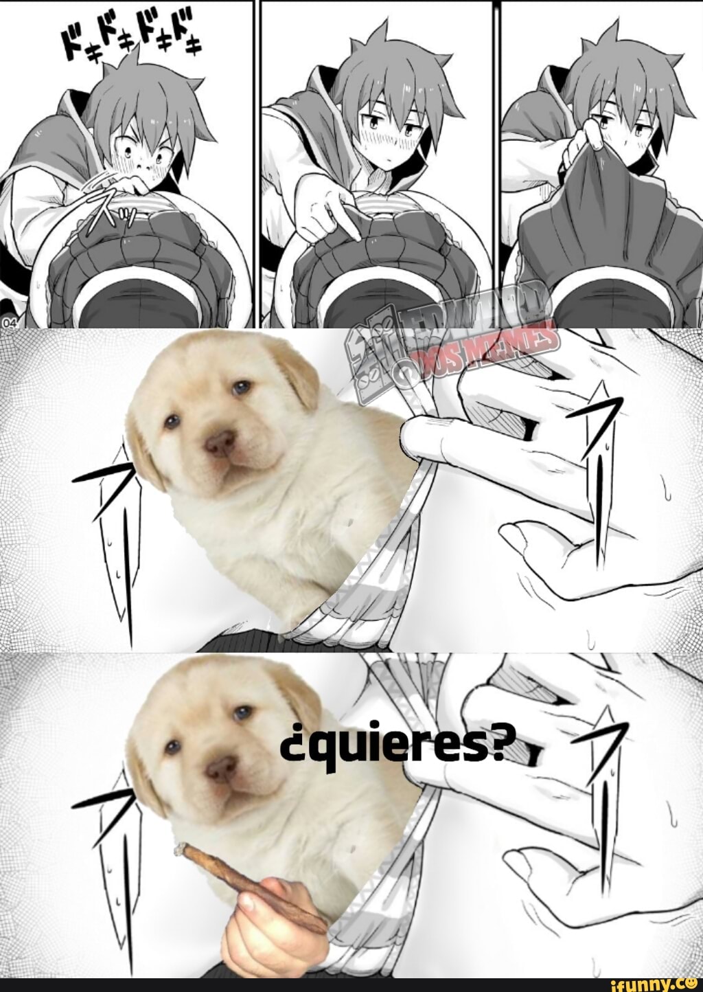 edwarddosmemes, animes, konosuba, hentai, aqua, catioro