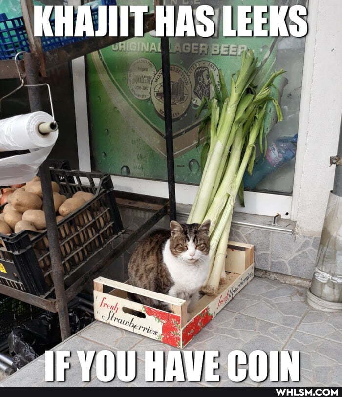KHAJIIT HAS LEEKS
IE VO HAVE COIN