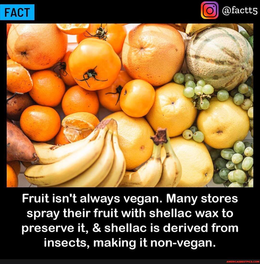 FACT @lactts
Fruit isn't always vegan. Many stores spray their fruit with shellac wax to preserve it, & shellac is derived from insects, making it non-vegan.