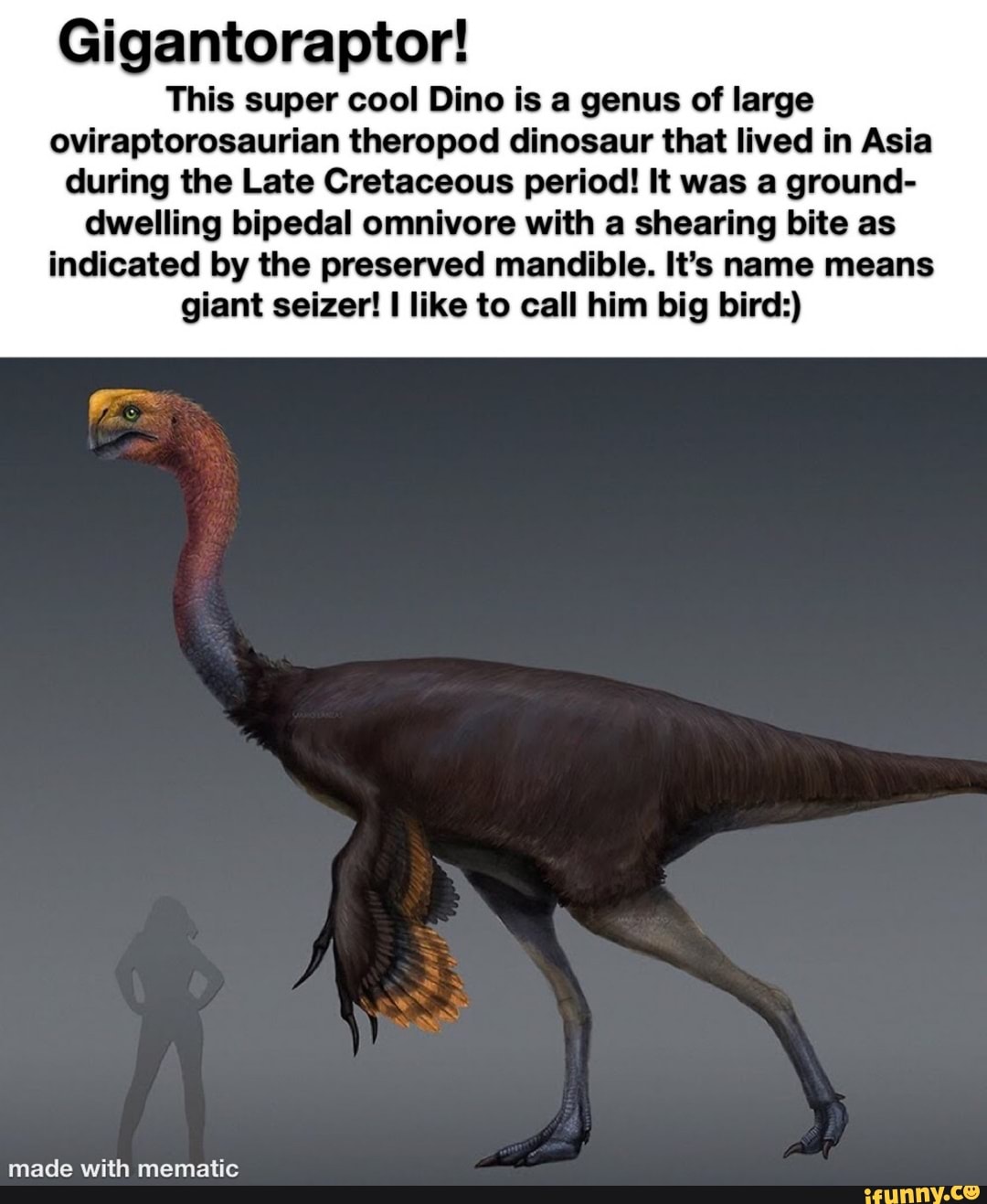 Gigantoraptor! This super cool Dino is a genus of large ...