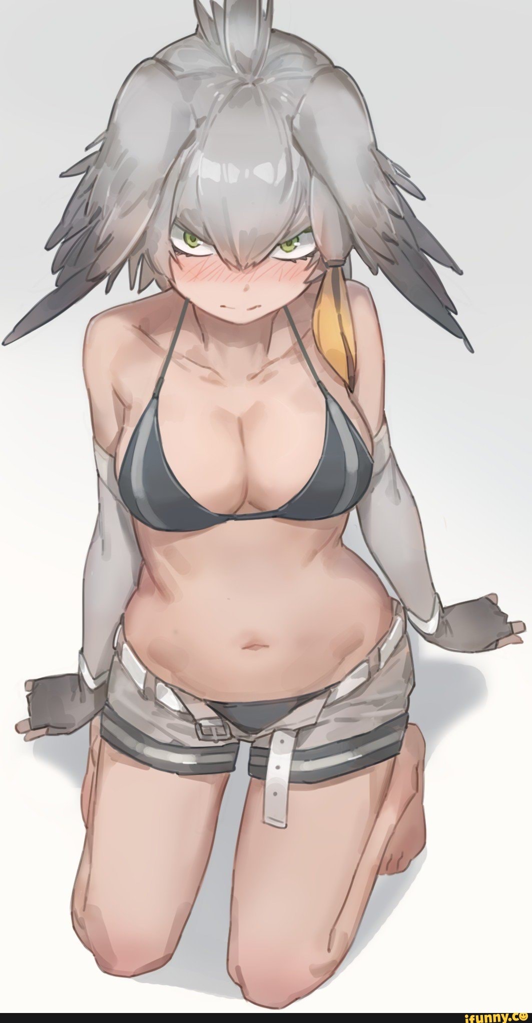 Shoebill Hentai