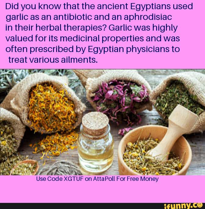 Did you know that the ancient Egyptians used garlic as an antibiotic ...