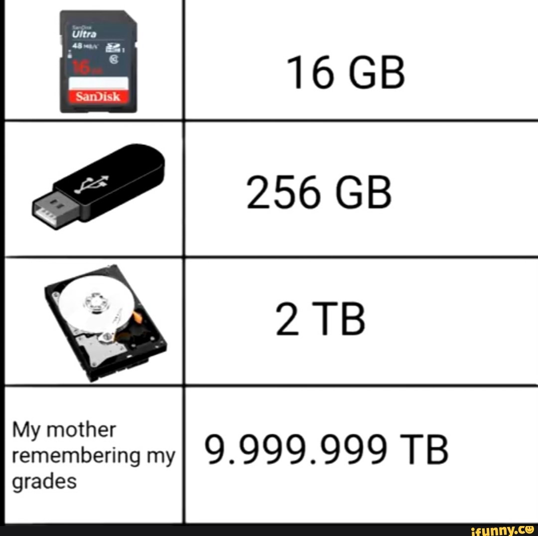 16GB 256 GB 2TB My mother remembering my 9.999.999 TB - iFunny