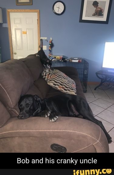 Bob and his cranky uncle