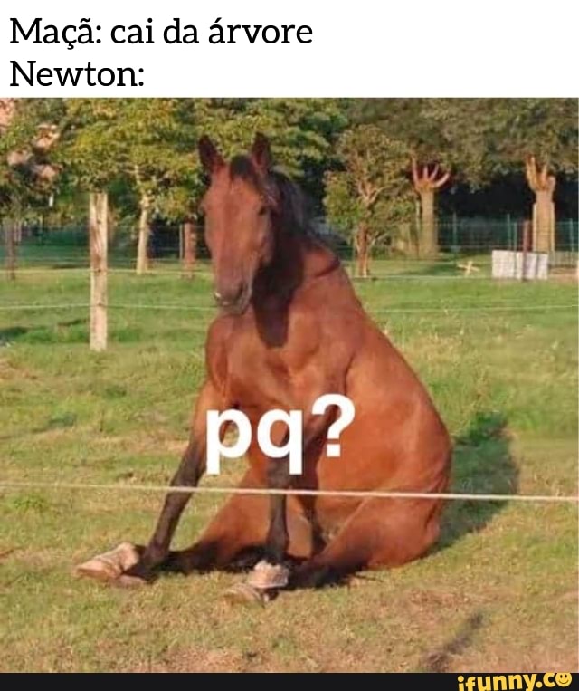 Maçã: cai da árvore
Newton: