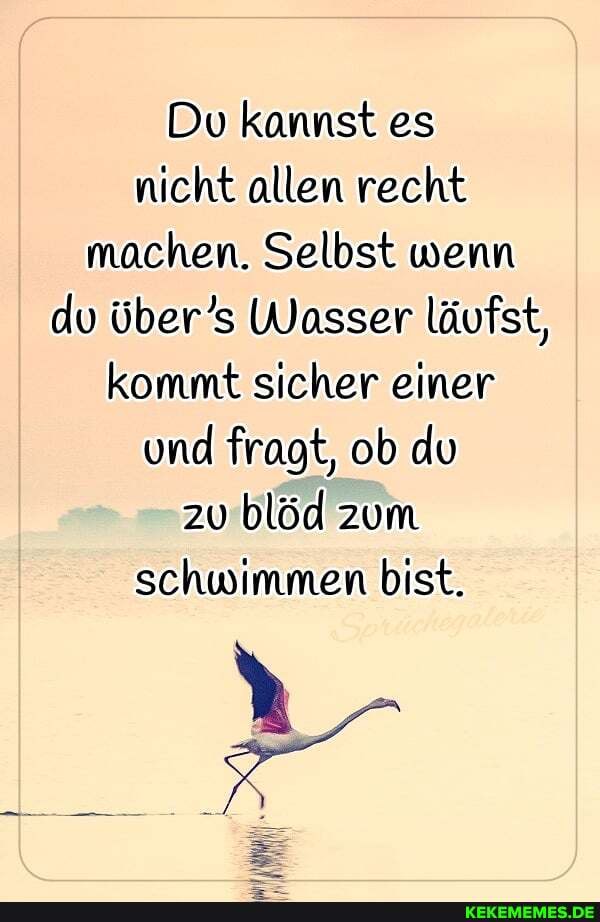 Du kannst es nicht allen recht machen. Selbst wenn du übers Wasser läufst, kommt sicher einer und fragt, ob du zu blöd zum schwimmen bist.