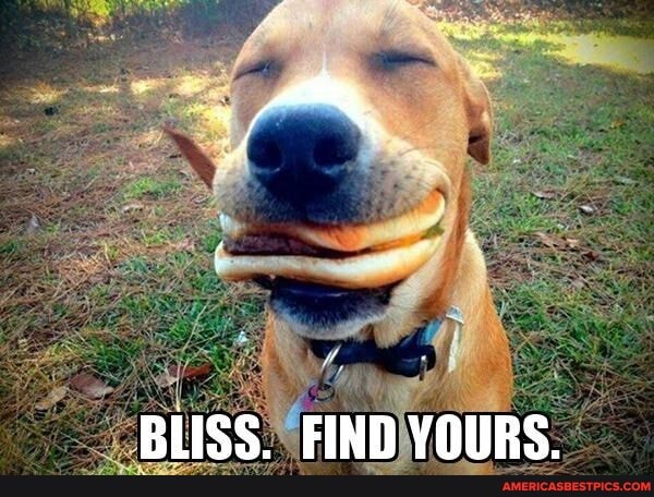 BLISS. FIND YOURS.