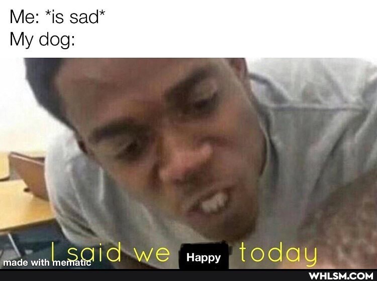 Me: *is sad*
My dog:
Oe? by I Hanny