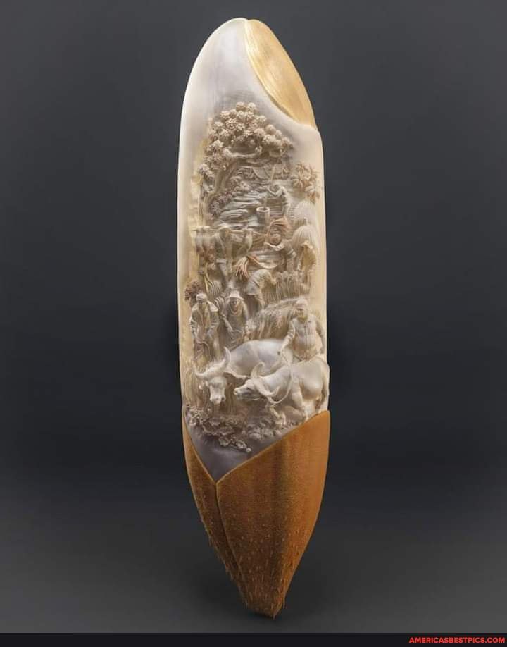 sure, real, apparantly, art, single, grain, rice