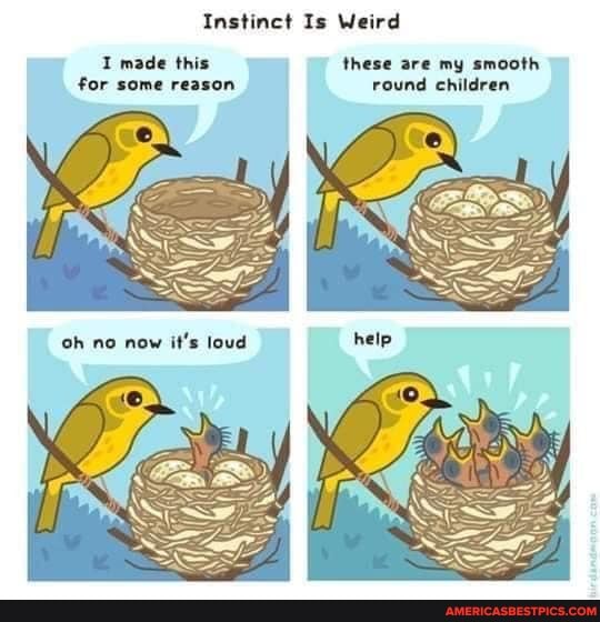 Instinct Is Weird
I made this these are my smooth for some reason round children
Oh no now it's loud help