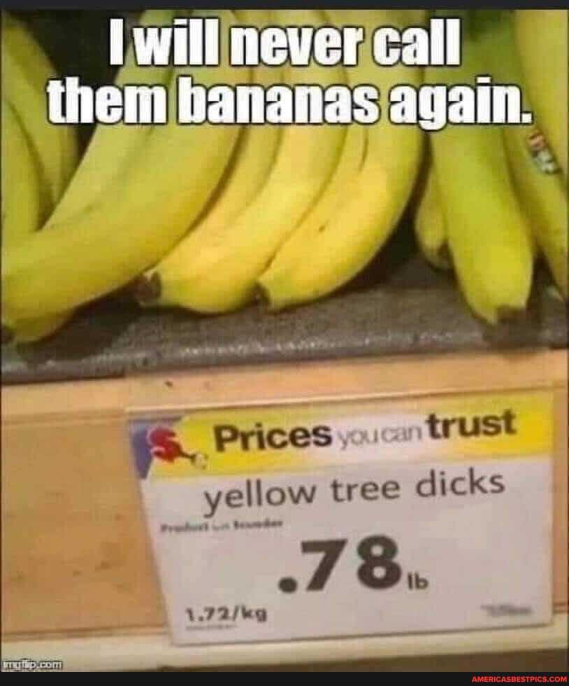 yellow tree dicks