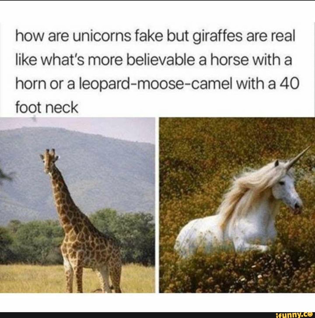 How are unicorns fake but giraffes are real like what's more believable
