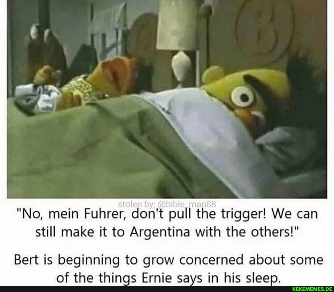"No, mein Fuhrer, don't pull the trigger! We can still make it to Argentina with the others!"
Bert is beginning to grow concerned about some