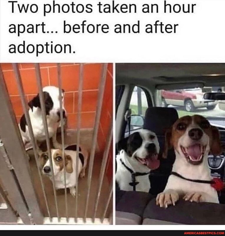 Two photos taken an hour apart... before and after adoption.
/INS
