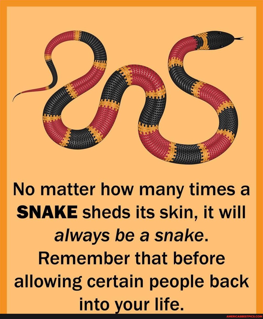 No matter how many times a SNAKE sheds its skin, it will always be a ...