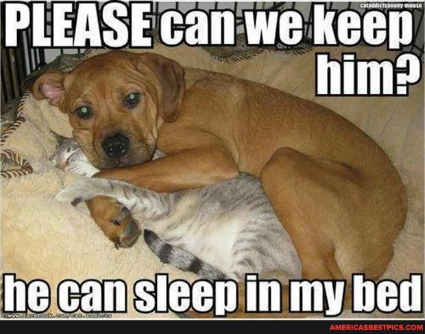 PLEASE can we keen
he can sleep in my bed