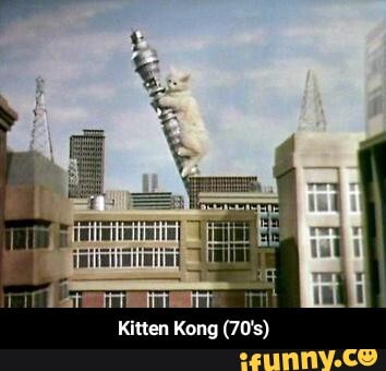 Kitten Kong (70's) - Kitten Kong (70's)