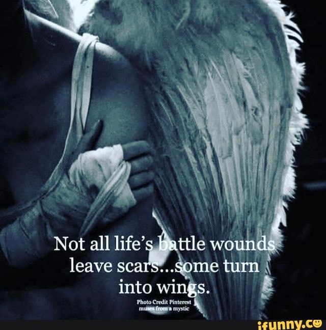 Not all life's battle wounds leave scar' turn into wings. Photo Credit