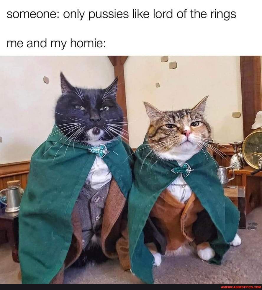 Someone: only pussies like lord of the rings me and my homie: - America