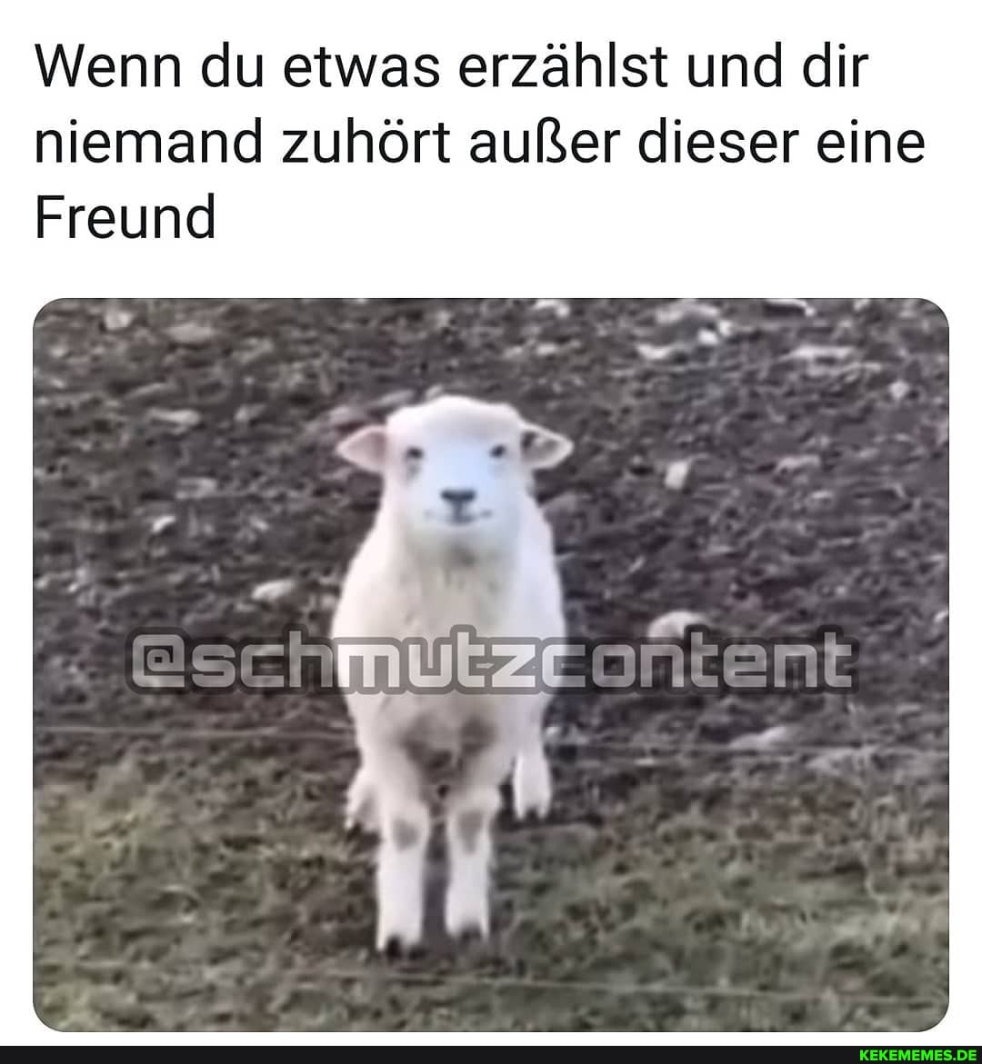 Wenn du etwas erzählst und dir niemand zuhört außer dieser eine
Freund