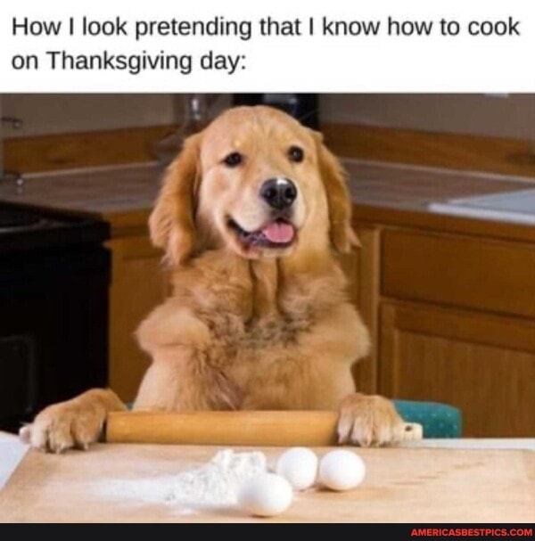 How I look pretending that I know how to cook on Thanksgiving day: