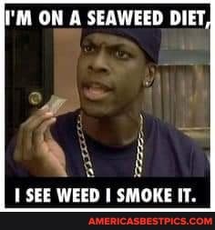 ON A SEAWEED DIET,
SEE WEED I SMOKE IT.