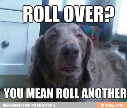 YOU MEAN ROLL ANOTHER