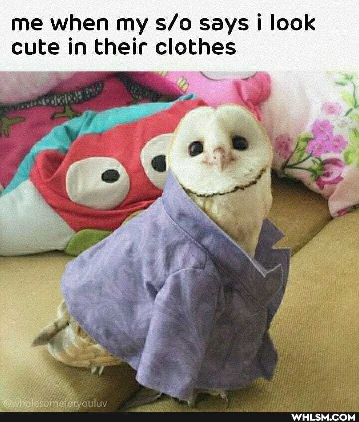 me when my says i look cute in their clothes