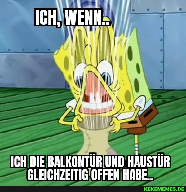 ICH, WENN.
ICH DIE BALKONTÜR UND HAUSTÜR GLEICHZEITIG OFFEN HABE..