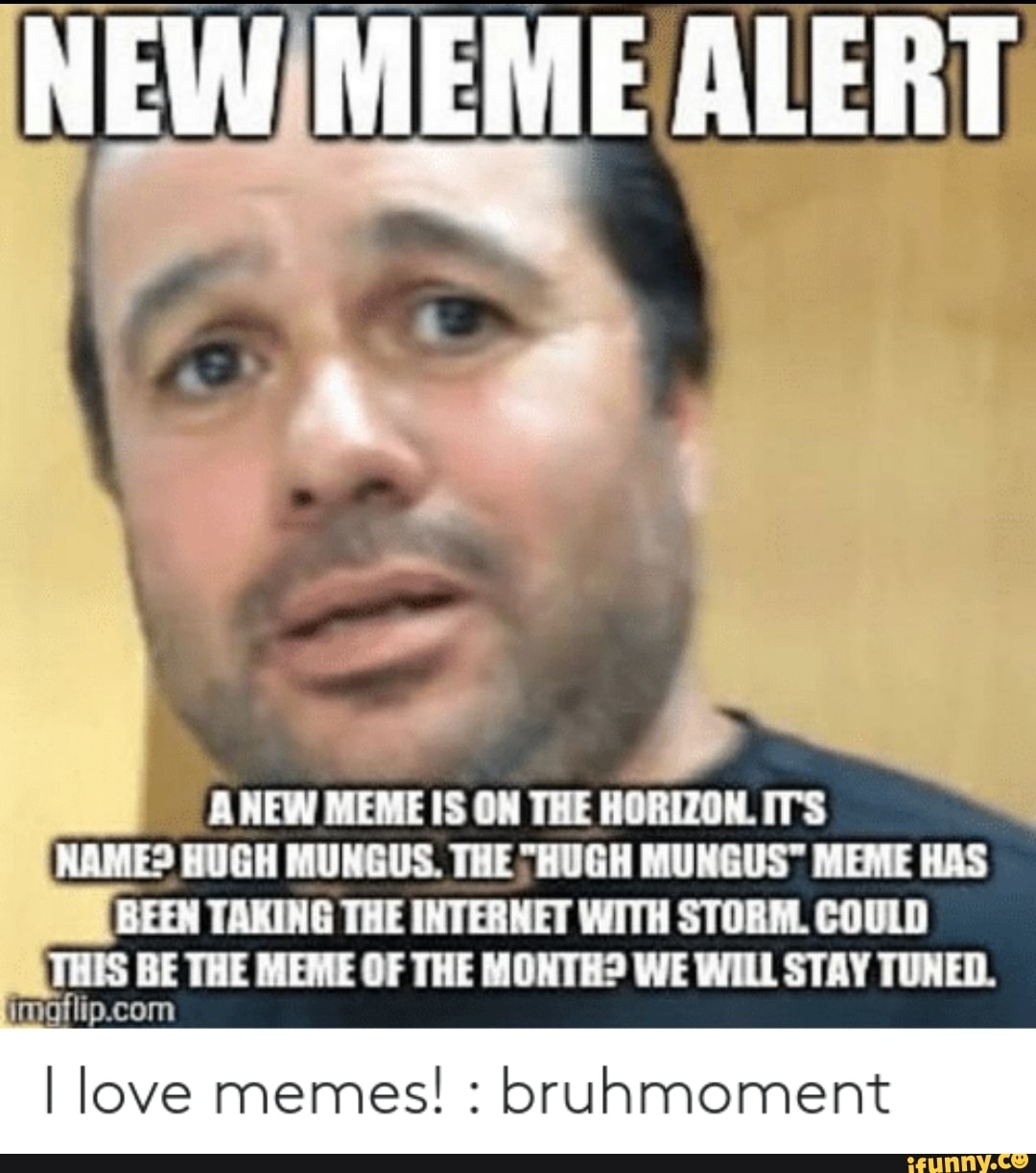 Meme alerts мемы. Meme Alerts. Мунгус. Alert memes. Meme Alerts PNG.