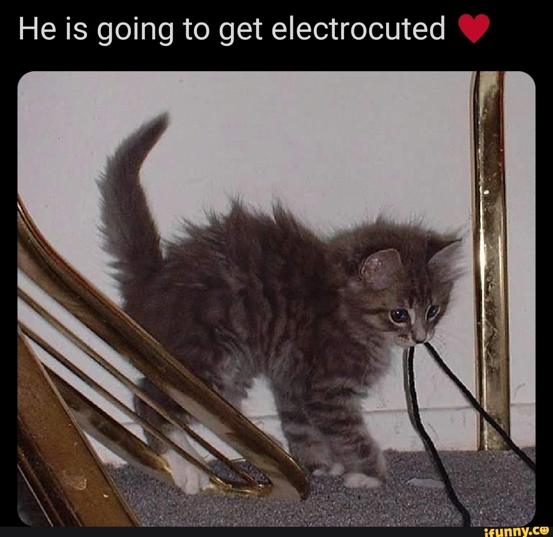 He is going to get electrocuted