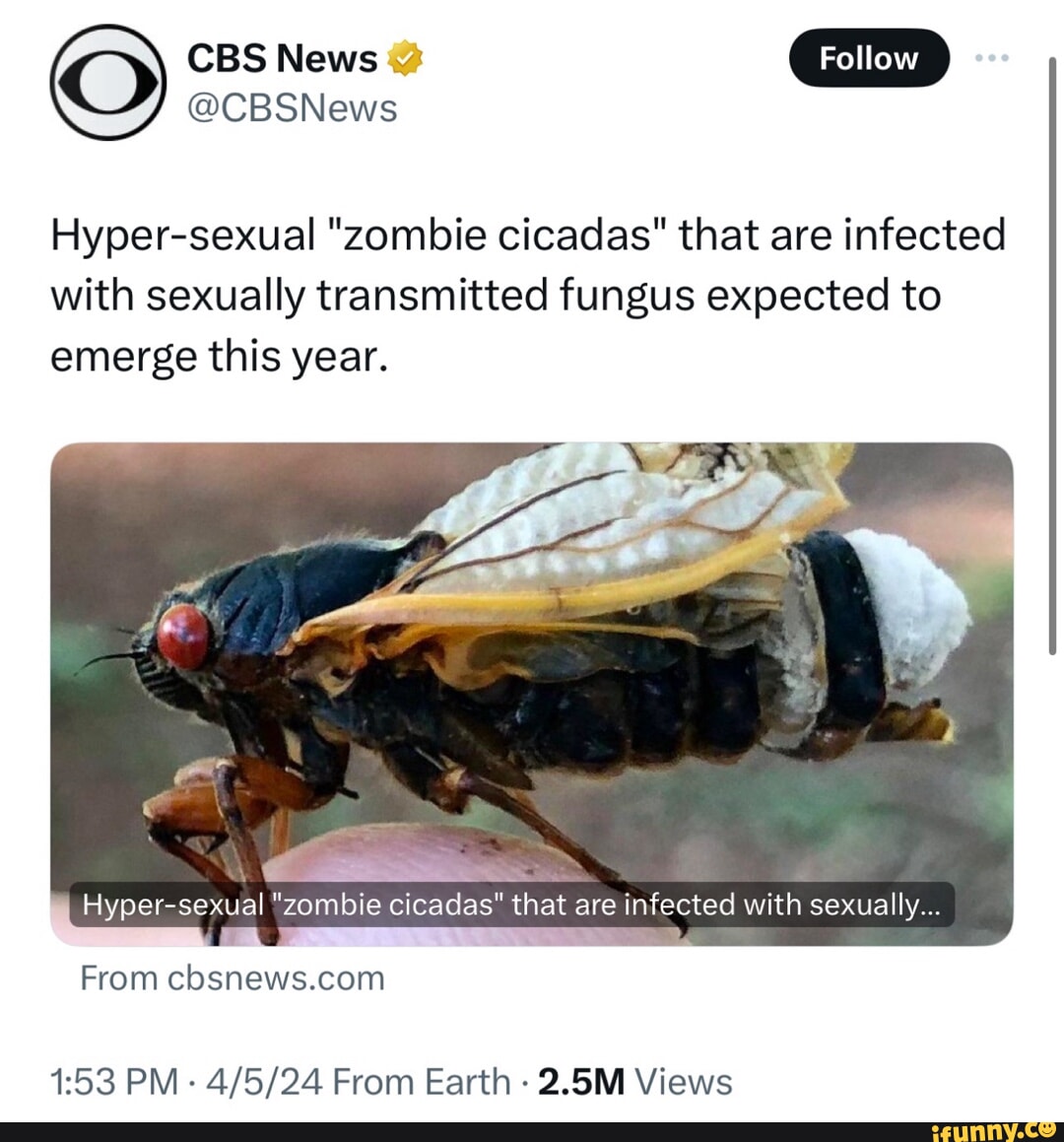 O CBS News @CBSNews Hyper-sexual 