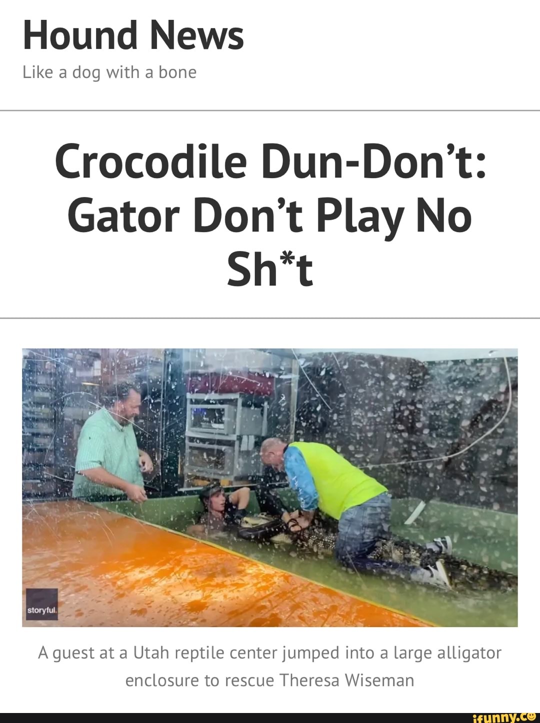 Alligator memes. Best Collection of funny Alligator pictures on iFunny