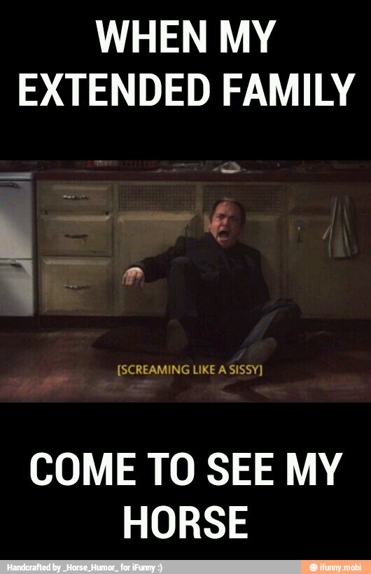 WHEN MY
EXTENDED FAMILY
COME TO SEE MY
HORSE