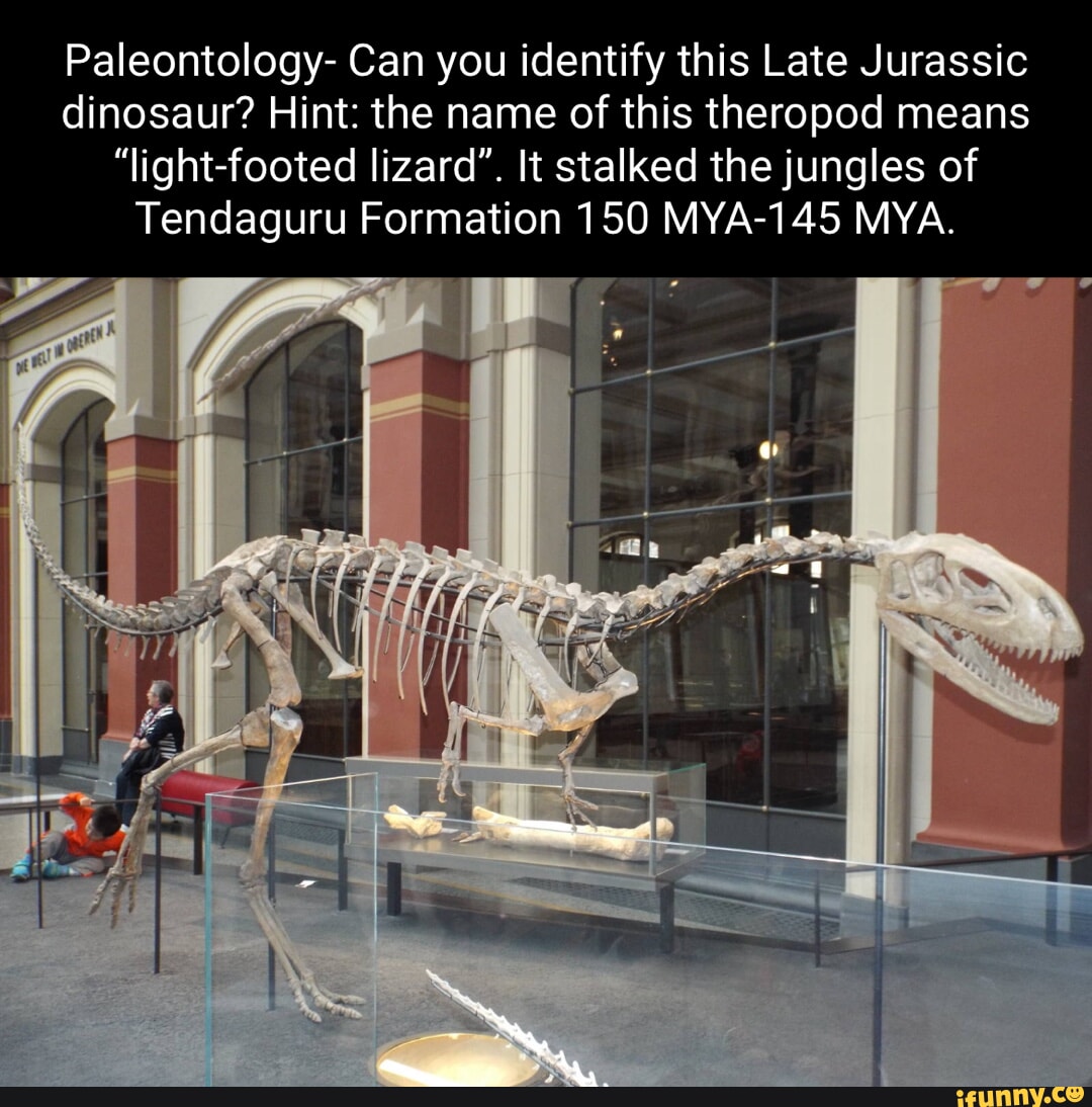 Paleontology Can you identify this Late Jurassic dinosaur? Hint the
