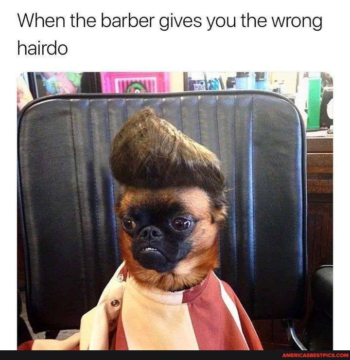 When the barber gives you the wrong hairdo
