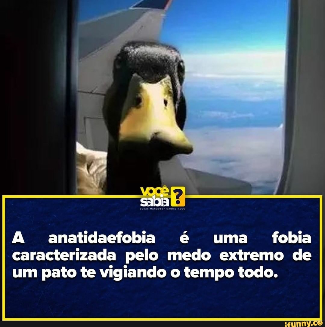sadia
A anatidaefobia é uma fobia caracterizada pelo medo extremo de um pato te vigiando o tempo todo.