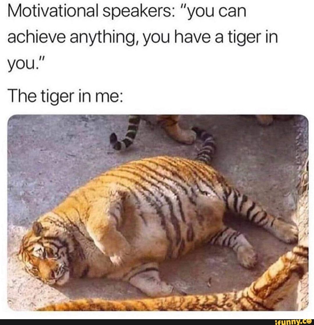 motivational-speakers-you-can-achieve-anything-you-have-a-tiger-in