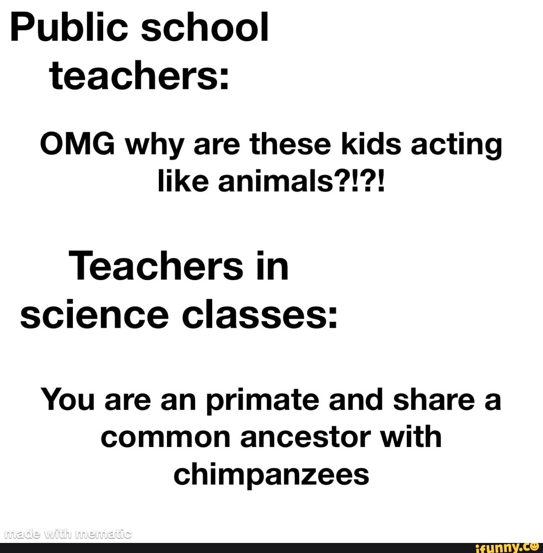 public-school-teachers-omg-why-are-these-kids-acting-like-animals