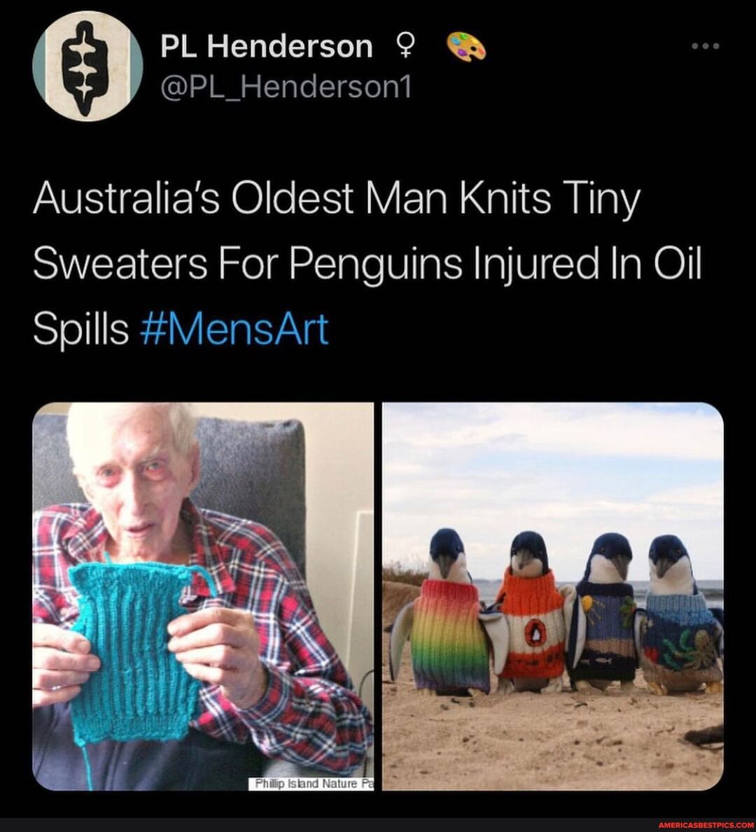 PL Henderson
@PL Henderson)
Australia's Oldest Man Knits Tiny
Sweaters For Penguins Injured In Oil
Spills #MensArt