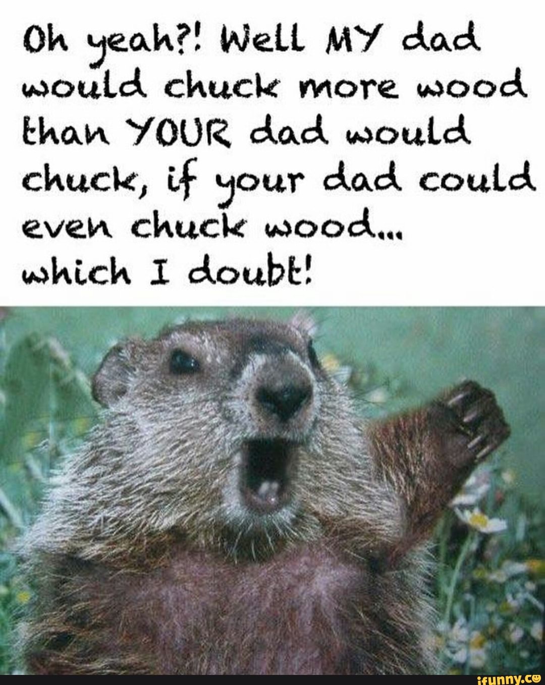Woodchuck скороговорка. Woodchuck Chuck Wood. How much Wood would a Woodchuck Chuck. How much Wood would a Woodchuck Chuck скороговорка.