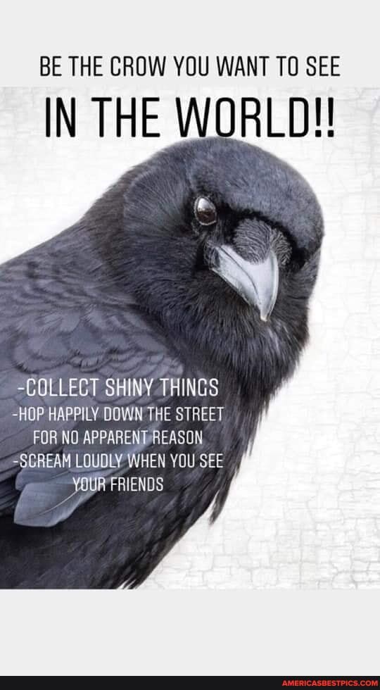 BE THE CROW YOU WANT TO SEE
IN THE WORLD!
ot
-COLLECT SHINY THINGS
-HOP HAPPILY DOWN THE STREET FOR NO
=SCREAM LOUDLY WHEN YOU SEE YoUR FRIENDS