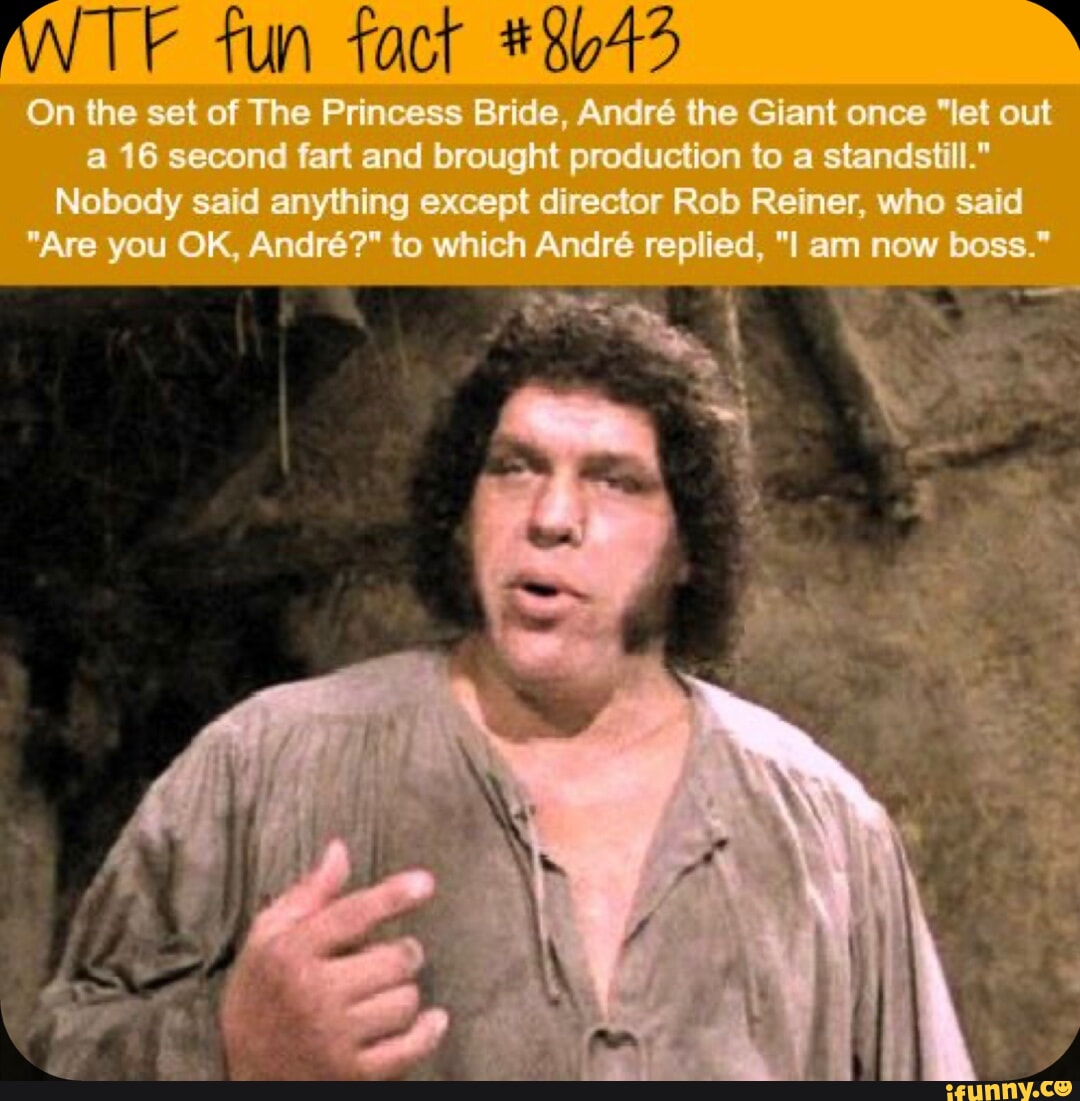 Crackit. I promised once группа. Реджина миллс рождество. "однажды летом". Once let.