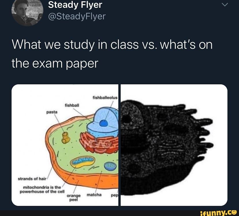 We study