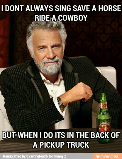 I DONT ALWAYS SING SAVE A HORSE
RIDE-A COWBOY
BUT-WHEN I DO ITS IN THE BACK
A PICKUP TRUCK